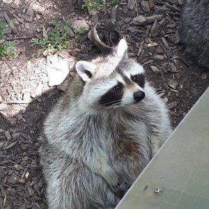 Meet your Posher, Fred